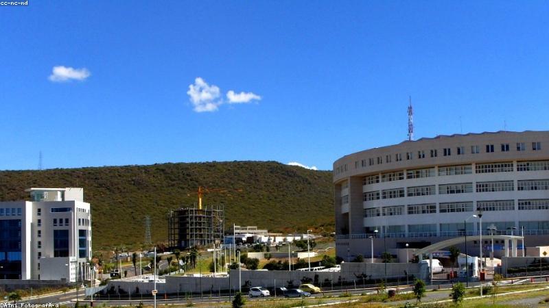 91官网企业级数字服务概览